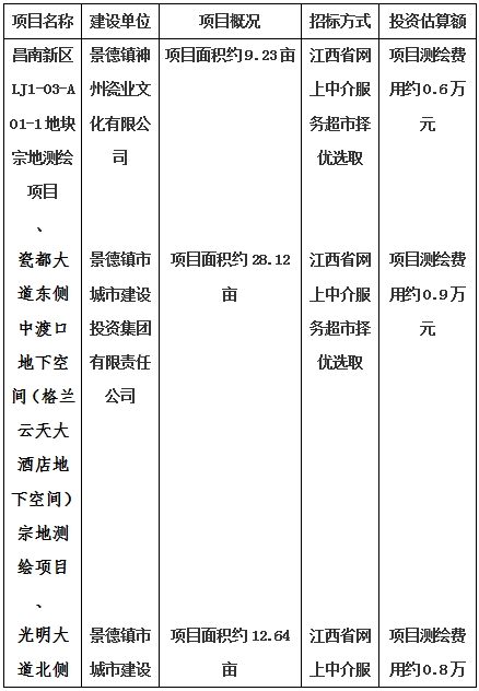 景德鎮(zhèn)市昌南新區(qū)LJ1-03-A01-1地塊、瓷都大道東側(cè)中渡口地下空間（格蘭云天大酒店地下空間）、光明大道北側(cè)利民路西側(cè)地下空間（青少年宮地下空間）、規(guī)劃二路北側(cè)地下空間地塊二（加速基地地下空間）、規(guī)劃二路北側(cè)地下空間地塊一（加速基地地下空間）、景德大道南側(cè)天寶橋西側(cè)地塊、景興大道東側(cè)如意路北側(cè)地下空間(社會(huì)公共服務(wù)