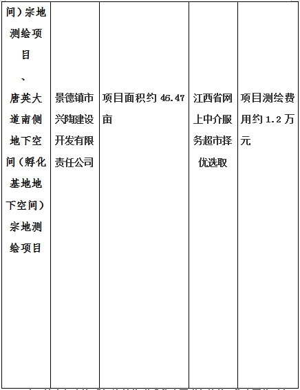 景德鎮(zhèn)市昌南新區(qū)LJ1-03-A01-1地塊、瓷都大道東側(cè)中渡口地下空間（格蘭云天大酒店地下空間）、光明大道北側(cè)利民路西側(cè)地下空間（青少年宮地下空間）、規(guī)劃二路北側(cè)地下空間地塊二（加速基地地下空間）、規(guī)劃二路北側(cè)地下空間地塊一（加速基地地下空間）、景德大道南側(cè)天寶橋西側(cè)地塊、景興大道東側(cè)如意路北側(cè)地下空間(社會(huì)公共服務(wù)