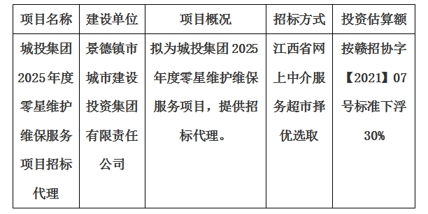 城投集團2025年度零星維護維保服務(wù)項目招標(biāo)代理計劃公告